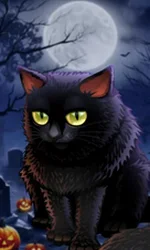 Spooky Halloween
